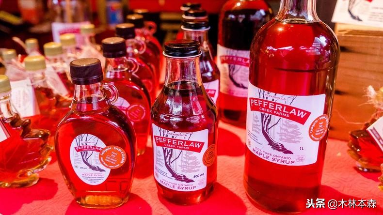 加拿大多伦多生活日记,加拿大多伦多留学生活纪实