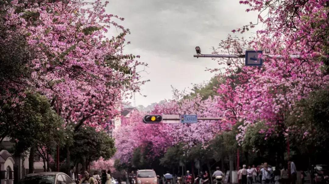 广西有座小城,广西的一座小县城