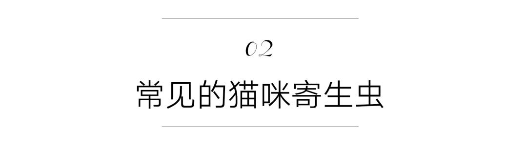 按时驱虫的猫咪还会有寄生虫吗,猫咪按时驱虫体内还会有寄生虫吗