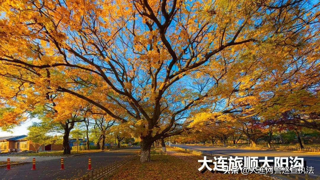 大连是个有人情味的城市吗,大连和济南哪个城市好