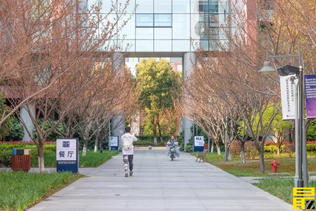 西交利物浦苏州校区,苏州西交利物浦美女