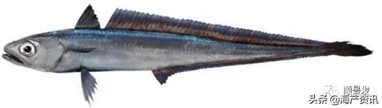 各国海鲜大盘点,今年过年最值得入手的海鲜