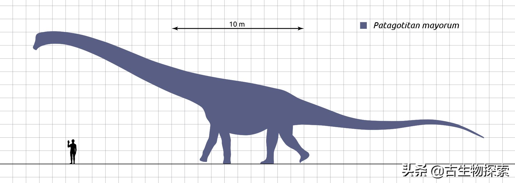 泰坦龙是最大的恐龙吗,世界上最高的恐龙是泰坦巨龙吗