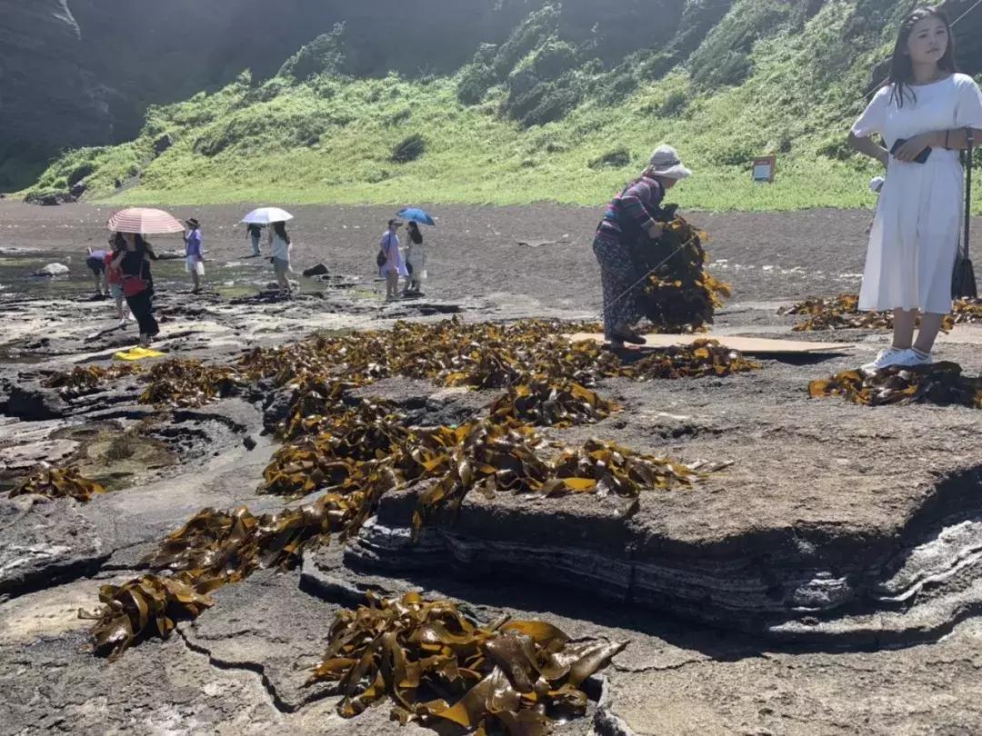 济州岛自由行详细攻略,济州岛自由行超实用攻略