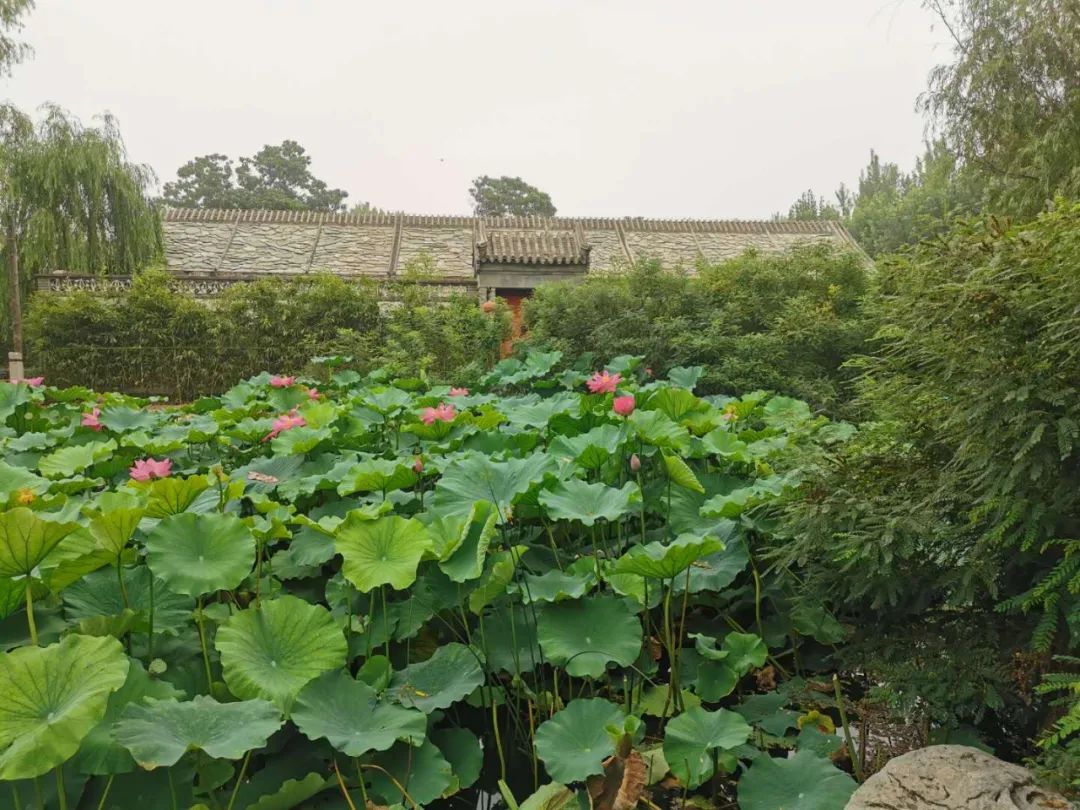走进北京蟹岛垂钓园,北京蟹岛垂钓园介绍