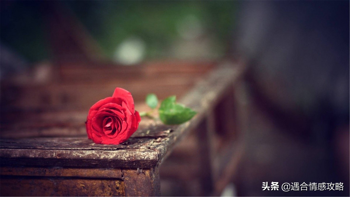 离婚后一直恨着对方是什么原因,离婚了恨前夫怎么办