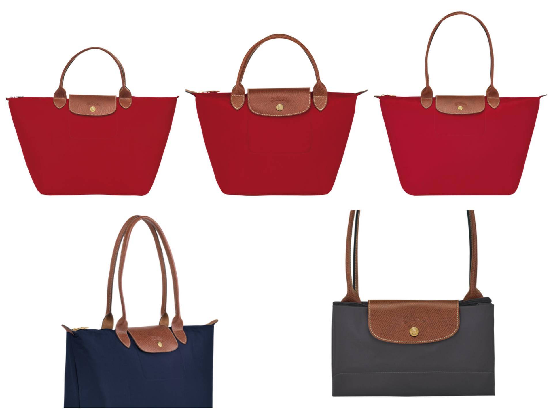 顾佳用奢侈品包包挤不进贵妇圈，纽约市民却用包把狗狗带上了地铁