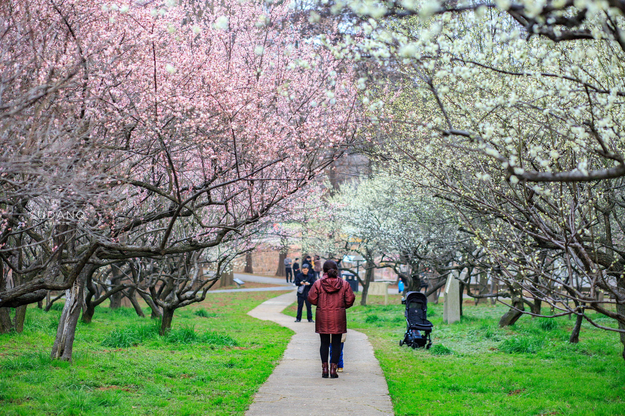 武汉，堪称“世界上最不缺水的城市”，东湖之美更羡煞旁人