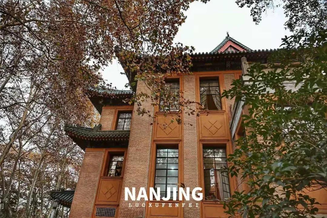 玩完南京去哪里玩景点推荐,南京钟山风景区秋天一日游攻略