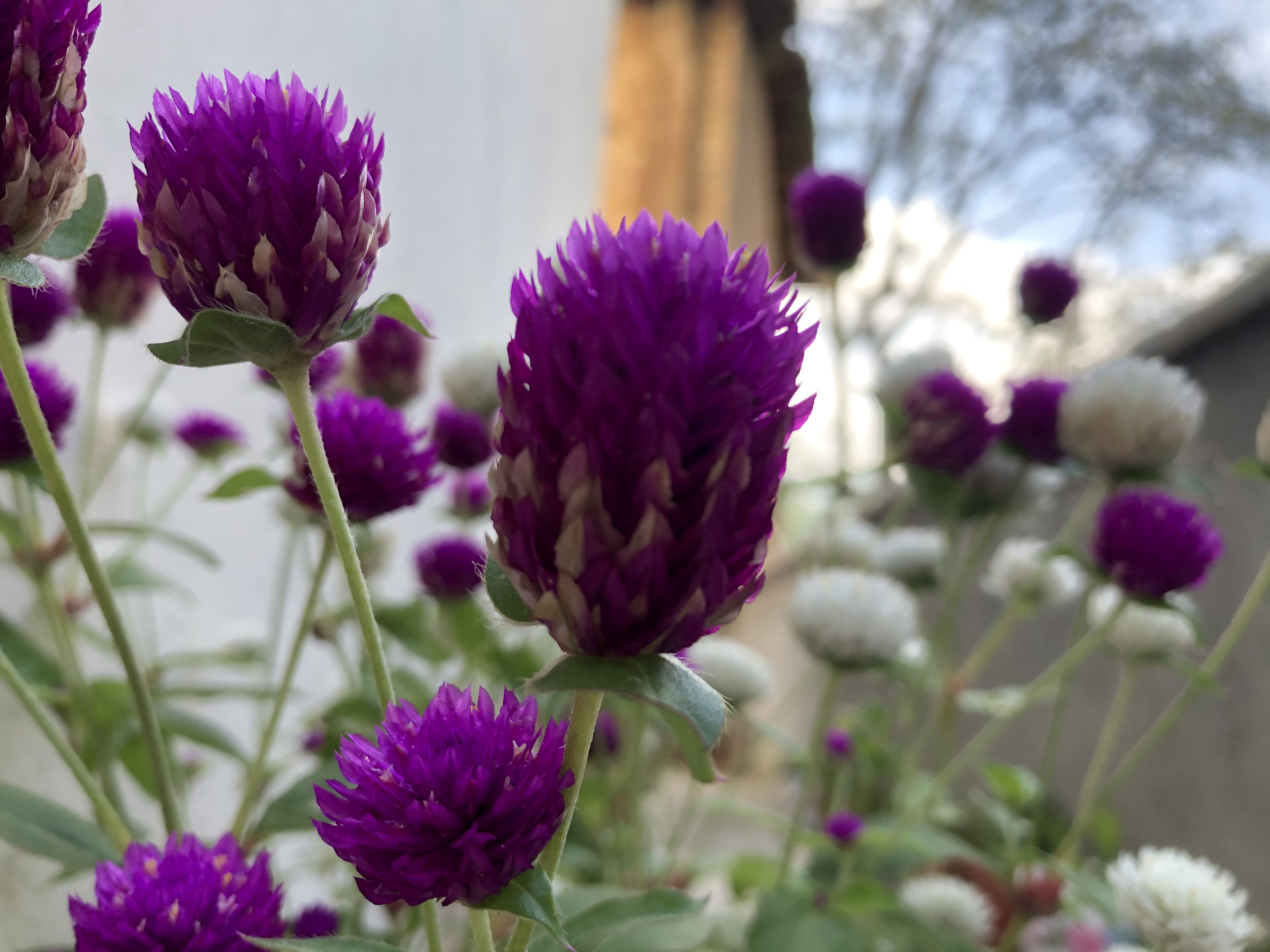 私募基金的管理者都是怎么操盘的,操盘手如何管理自己的业绩