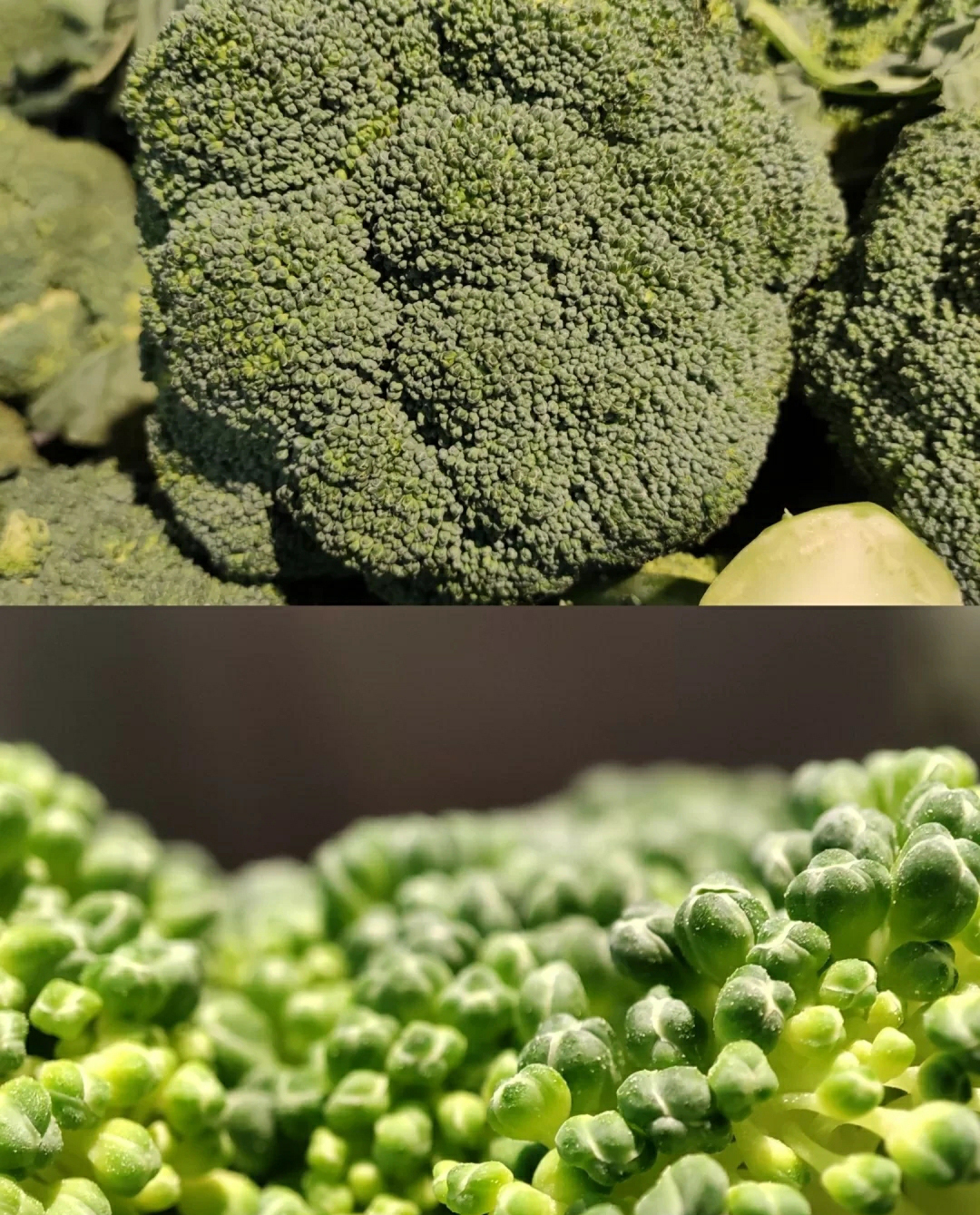 微观世界大自然,微观世界的神奇视频