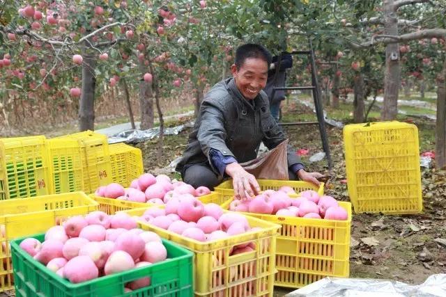 我在长武刚刚好，何必羡慕北上广