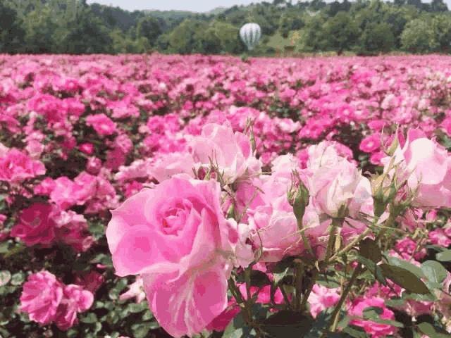 抄底南京房地产,抄底楼市正当时