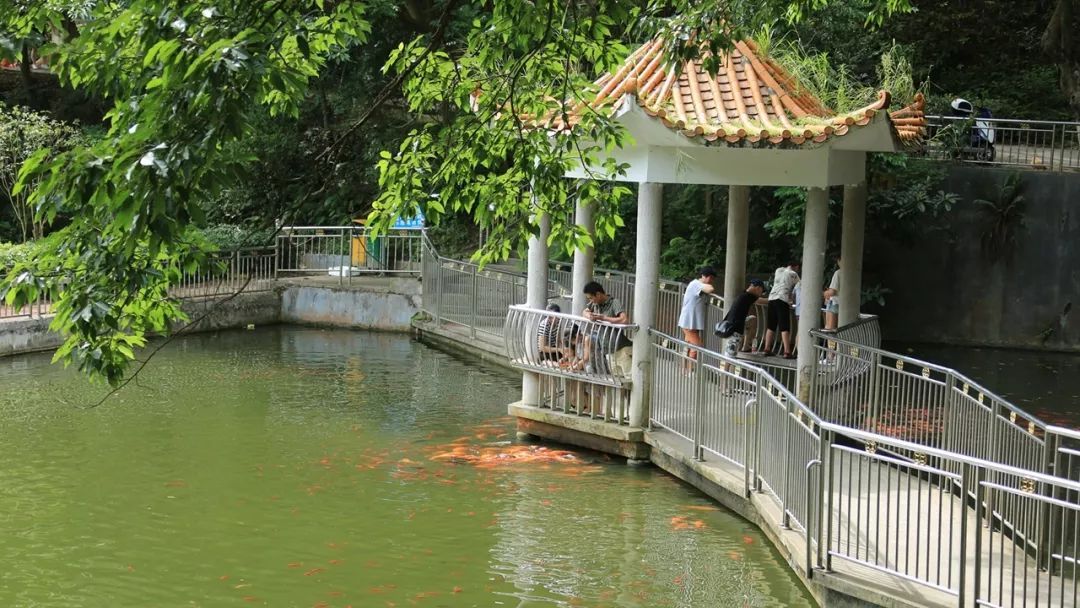 梅州游玩景点一日游免费,梅州免费旅游景点大全介绍