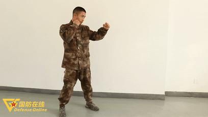 散打基本拳法教学摆拳视频,散打动作动态图