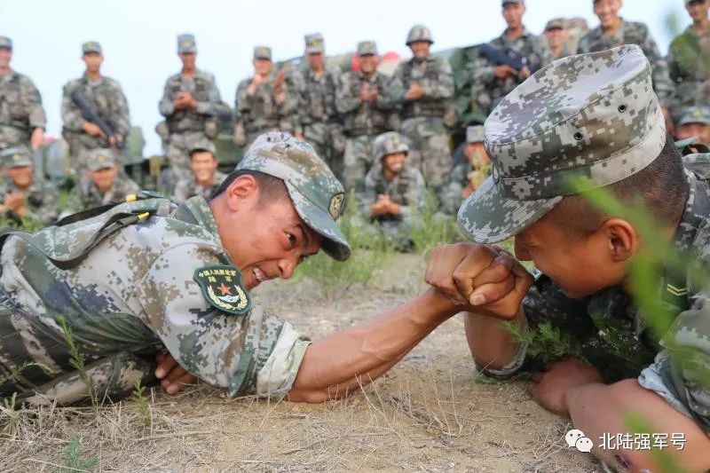 我是*用军**帐篷佩奇！一起来认识我的家族成员吧！