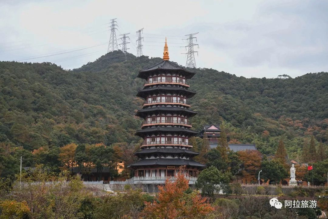 时髦！这座沿海小城居然藏着一波小众新玩法！|“...