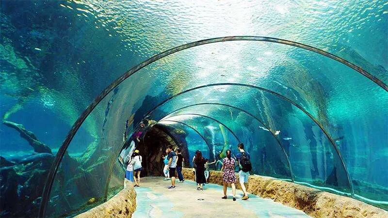 珠海长隆海洋王国美的像童话世界,珠海长隆海洋王国体验游玩