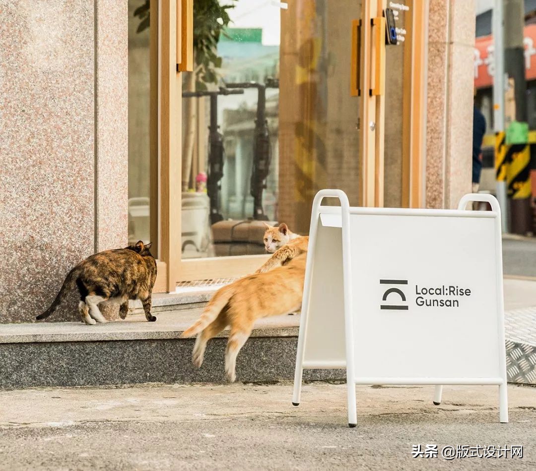 版式设计和品牌设计区别,品牌版式设计