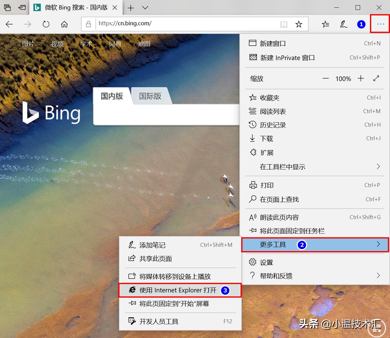 windows自带的ie浏览器在哪里打开,windows10怎么找自带的ie浏览器