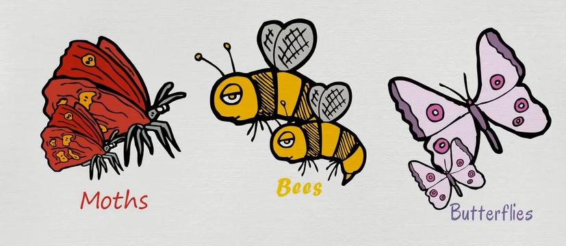 关于动物的英语单词100个带图片,英语常用词汇整理