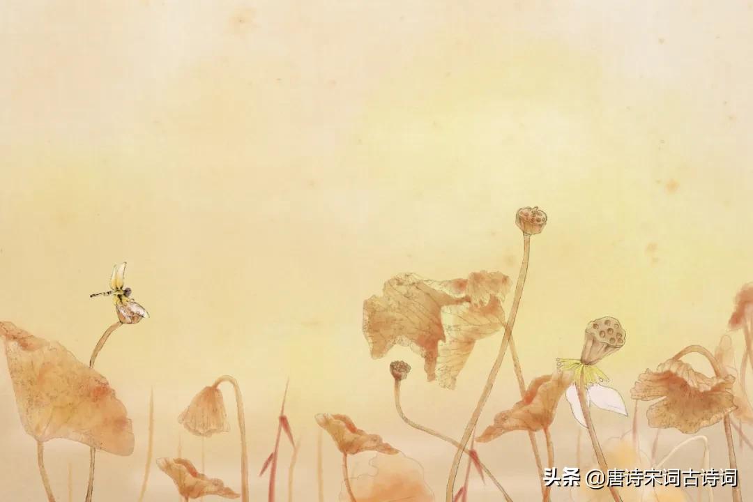 雨打梨花深闭门什么意思,雨打梨花深闭门歌曲