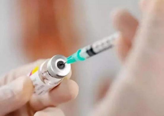 猫咪不出门需要驱虫吗,不出门的猫咪还用驱虫吗