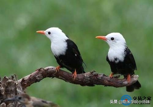 期货短线交易看几分钟k线最好,期货日内短线最简单方法自动交易