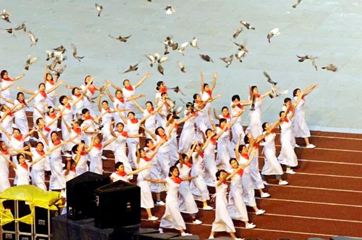 和平鸽～和平、友谊、团结、圣洁的象征