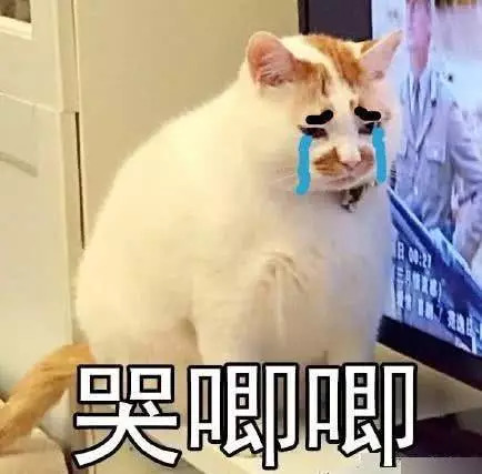 隔离妆前乳伪素颜,隔离妆前乳是什么东西