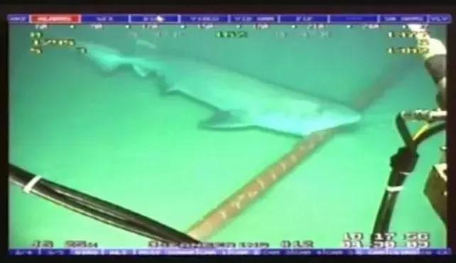 海底光缆这么长怎么安装的,海底光缆怎么铺设的费用谁出