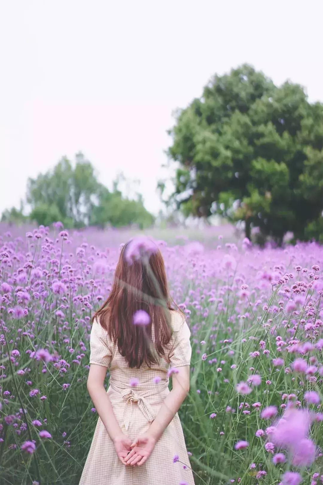 承包你的最美夏天！快来双流这个小普罗旺斯打卡