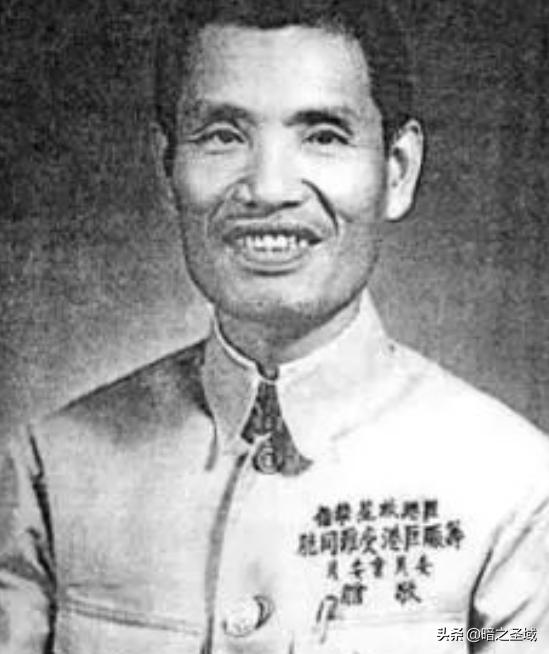 中国抗战实录1937到1946,华侨抗战