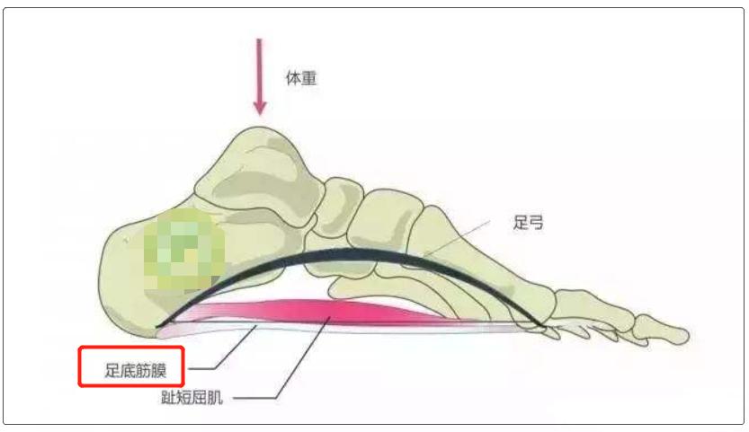 脚后跟痛最好的治疗方法真实有效,脚后跟痛的最佳治疗方法是什么