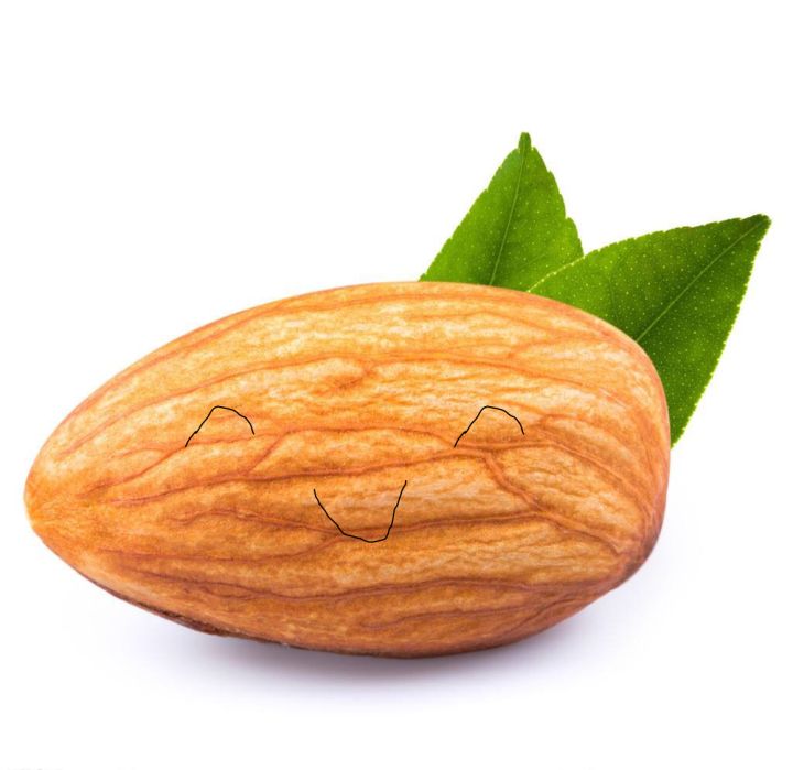 临床诊断卵巢囊肿是什么意思,卵巢囊肿怎么知道是病理和生理呢