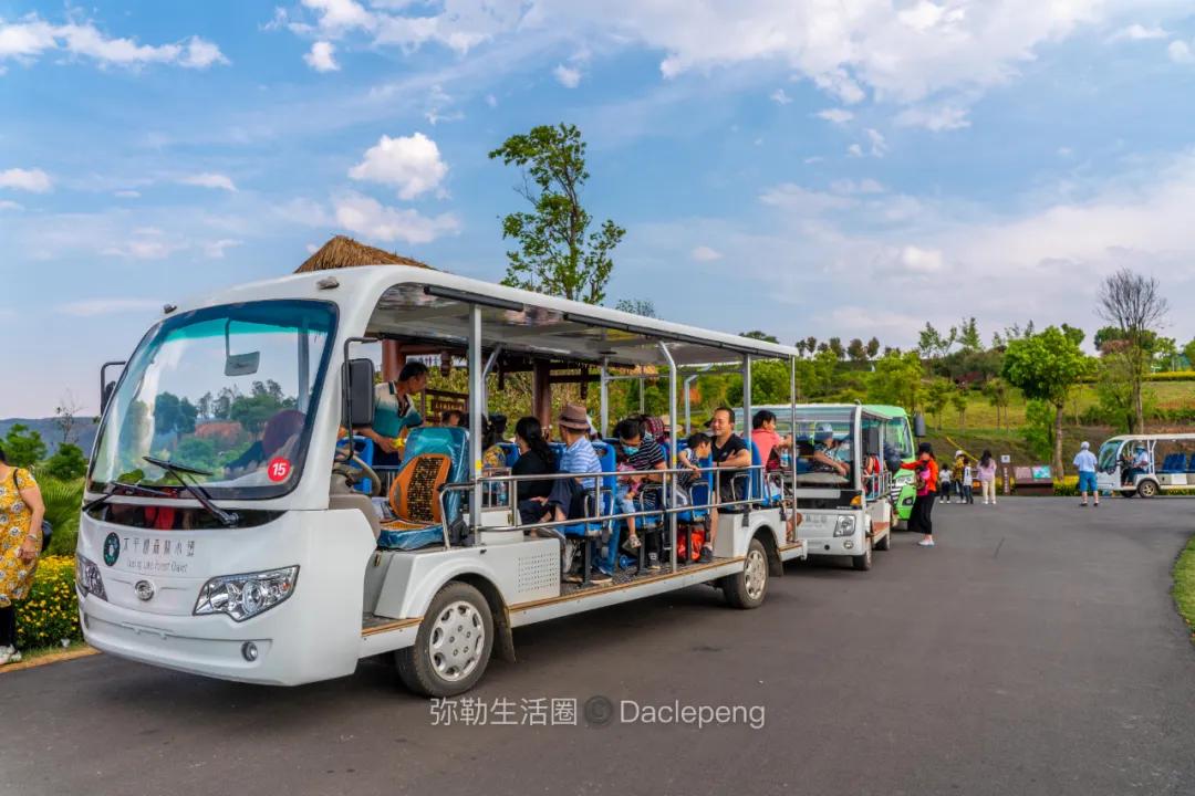 云南最美小镇图片,云南太平湖森林公园花海