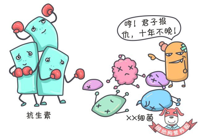 抗生素什么时候服用最好,抗生素什么时候起效果