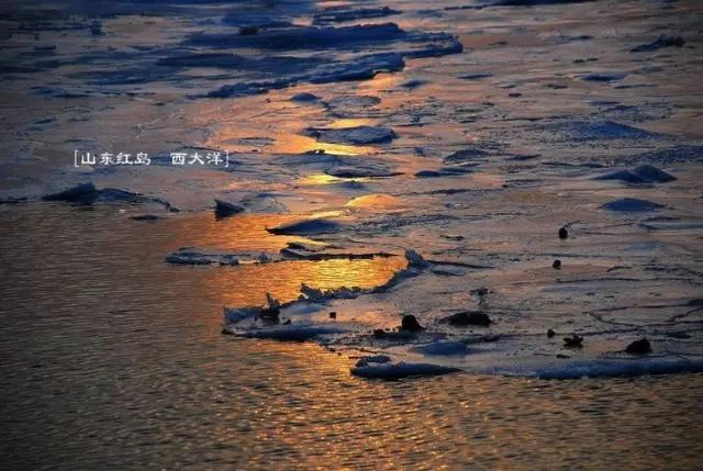 青岛文艺小岛旅游攻略,青岛旅游居住小岛有哪些