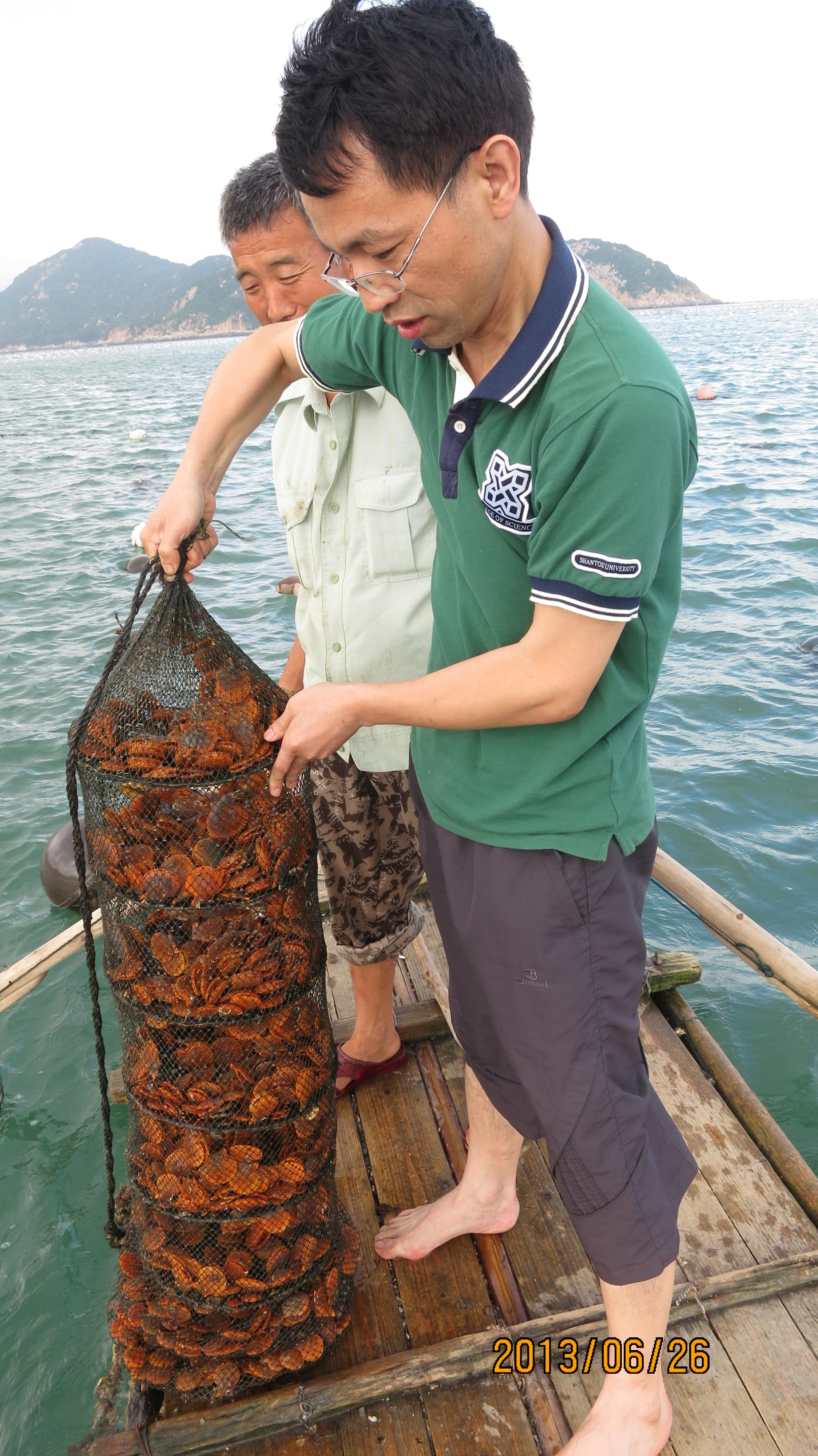 汕头大学郑怀平：把论文写在大海上，八年育成“南澳金贝”