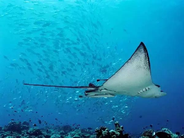蜜月旅行就去这些海岛你值得拥有,10个最适合蜜月旅行的海岛
