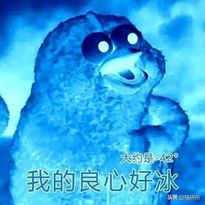 9.9包邮~200元+的猫咪冻干，究竟有什么区别？