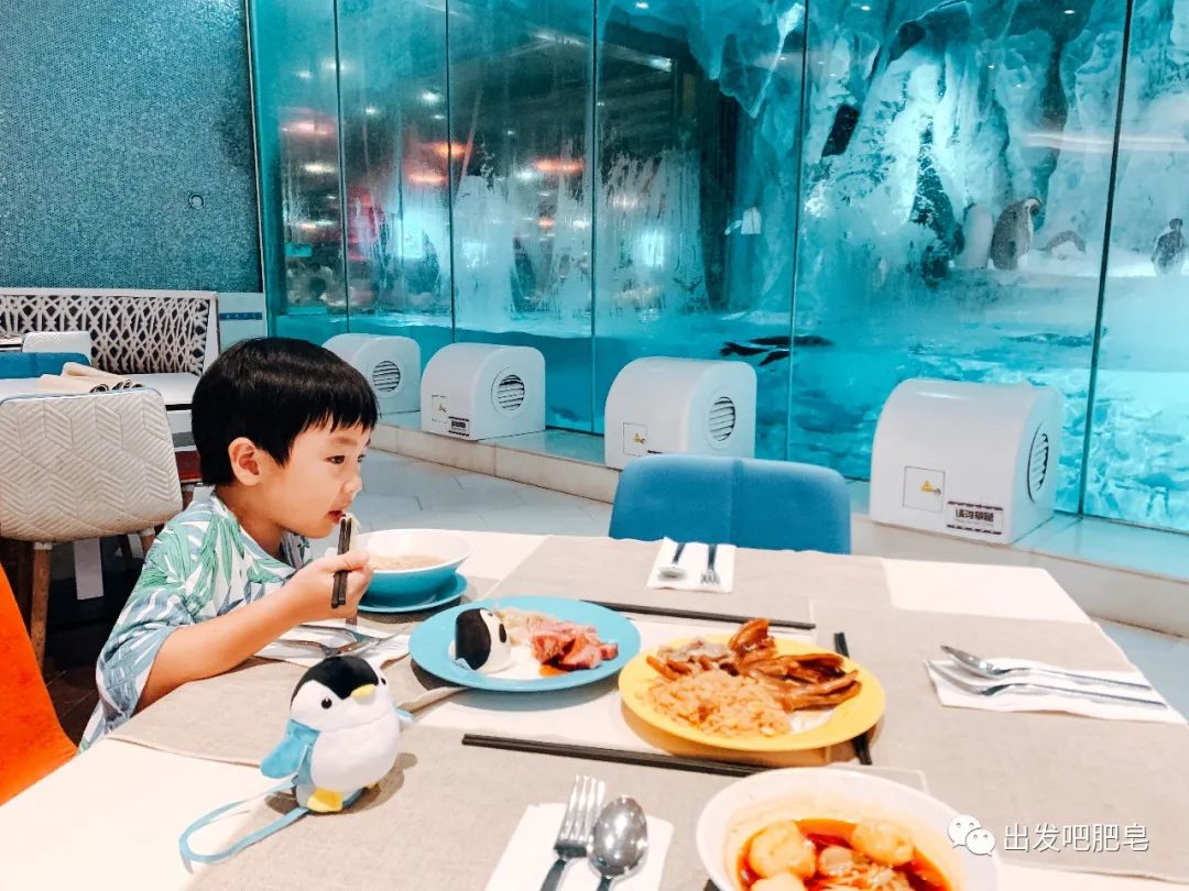 玩转珠海长隆全攻略,玩转珠海长隆海洋王国全攻略