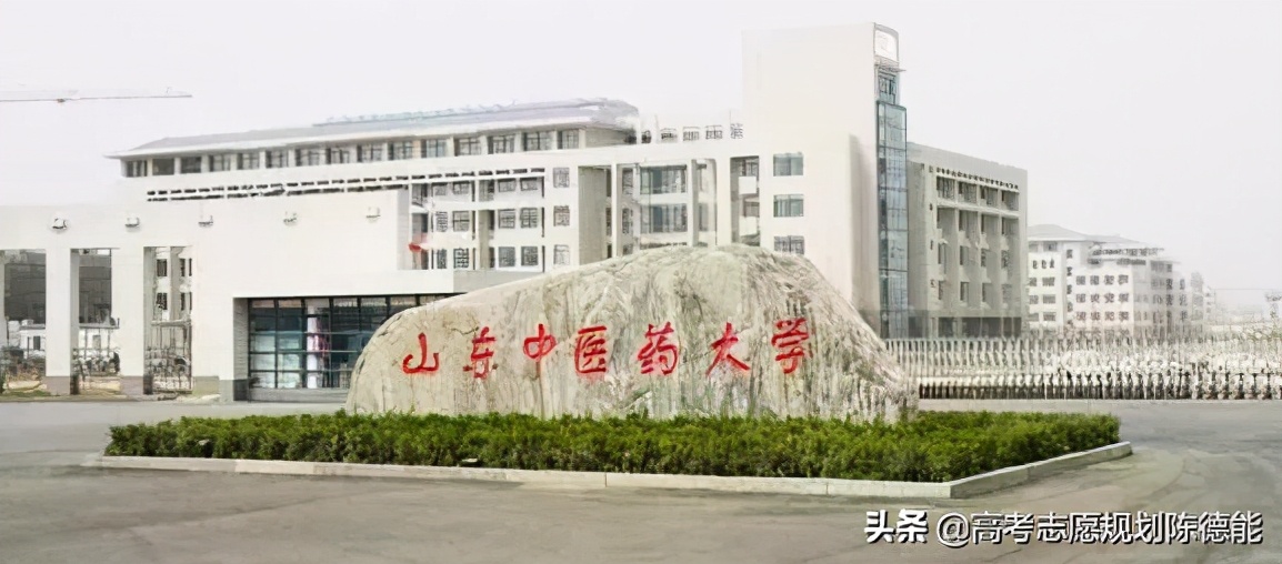 南方医科大学中医学科评估,中医学科排行榜前十名