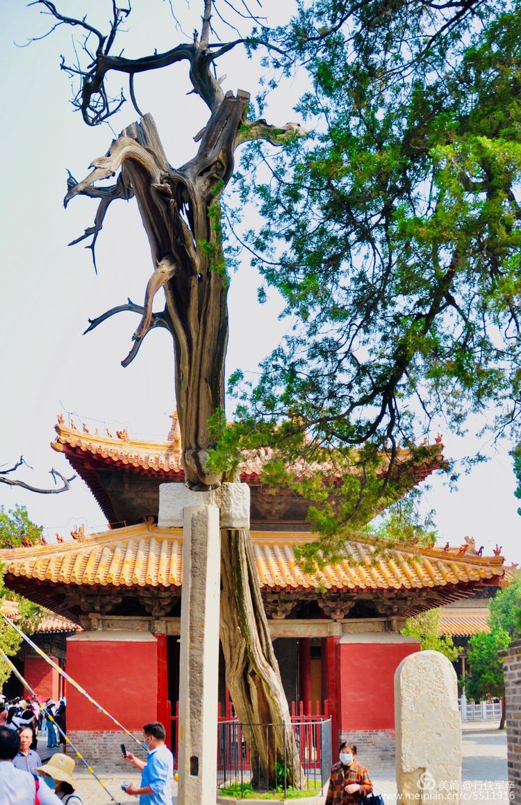 推荐一个好地方曲阜孔庙,曲阜孔庙祈福地方