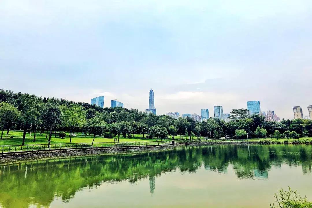 深圳建市四十周年,深圳市建市40周年从什么时候开始