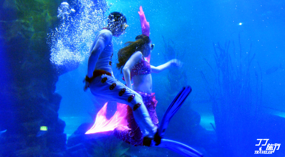 青岛最大的海洋世界在哪里呀,山中有海海上有门是谁写的