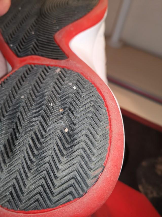 罗斯玫瑰战靴,玫瑰十年