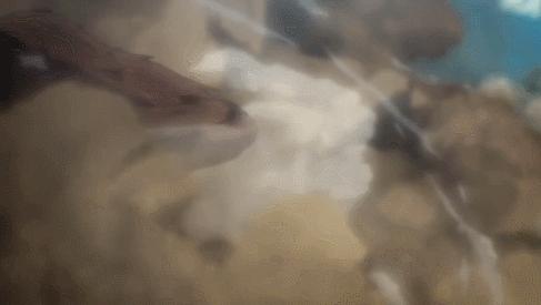 一集9.9分不愧是年度神剧,一集9.9的网剧