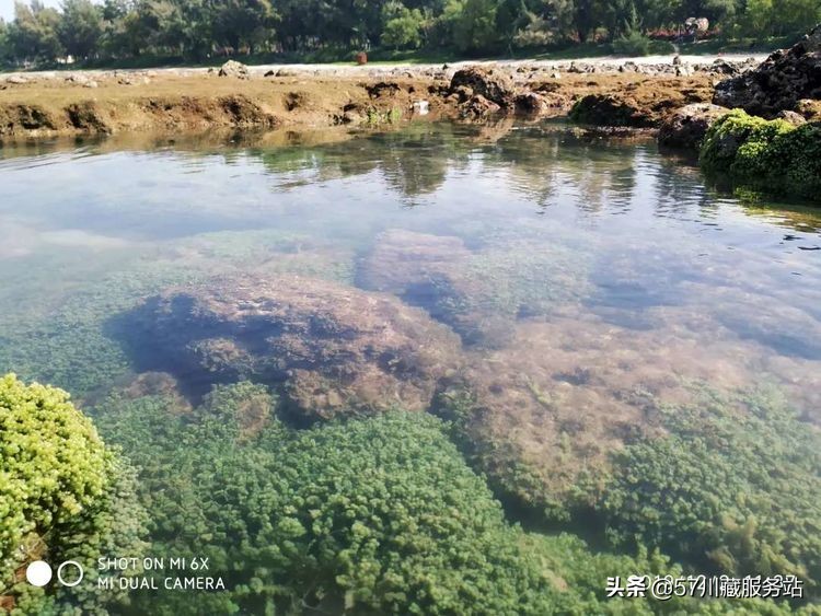 海南环岛骑行东线,海南西线环岛高速全程