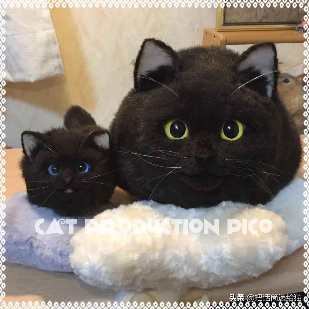 日本网红猫包,日本网红猫咪包